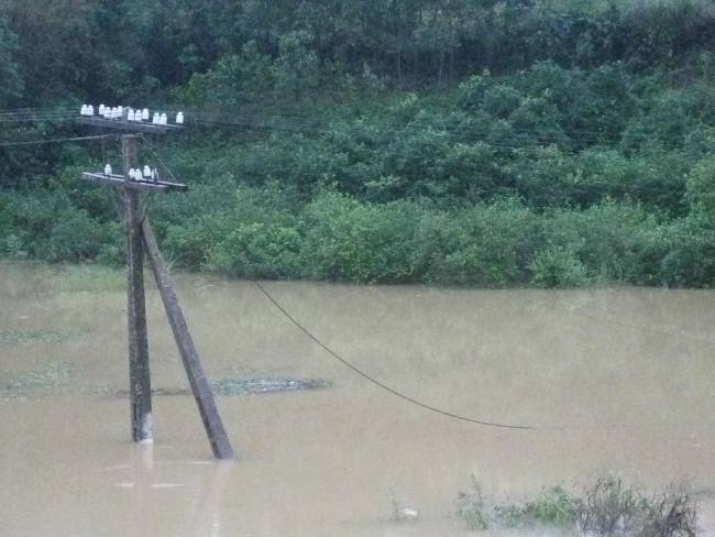 Chia sẻ khó khăn với đồng nghiệp miền trung - Lũ lụt